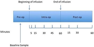 Exploring the Pharmacokinetic Profile of Remifentanil in Mid-Trimester Gestations Undergoing Fetal Intervention Procedures